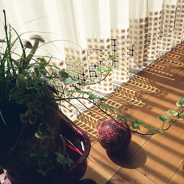 Lounge,リフォーム,無垢の床,ラジオフライヤー,観葉植物,アイビー,カーテン,カーテンリメイク naive.coccoの部屋
