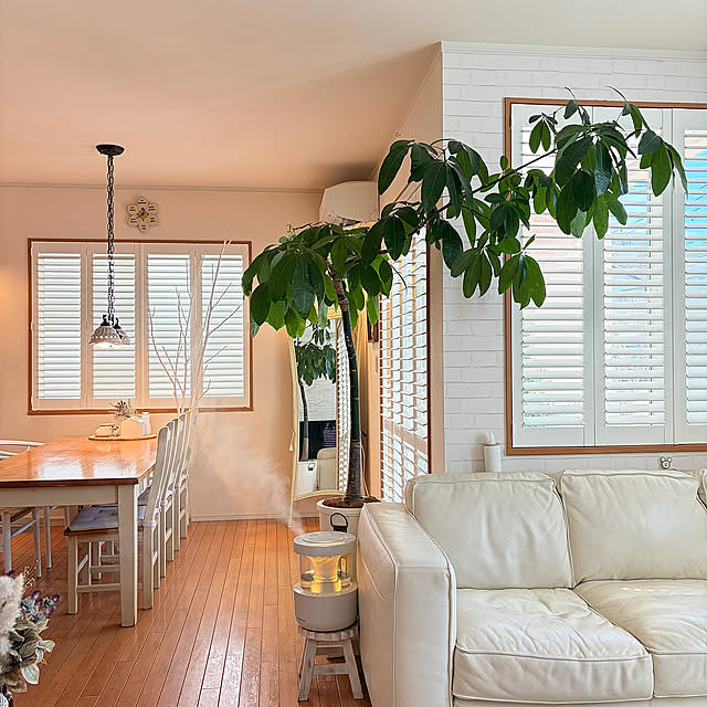 Lounge,三協アルミ,窓枠,ホワイトインテリア,ナチュラルインテリア,パキラ,白×茶,窓まわり,白いソファー,海外風,ウッドシャッター,大きな観葉植物,住友林業,窓サッシ,NORMAN,木枠の窓 chobisukeの部屋