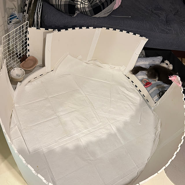 老犬と暮らす,老犬,チワワ,100均,サークル,ペットと暮らす家,DIY,チワワ飼ってます,ペットカメラ,ダイソー,ペットシーツ,認知症,チワワのいる暮らし,セリア,キャンドゥ,Daiso,On Walls meguの部屋
