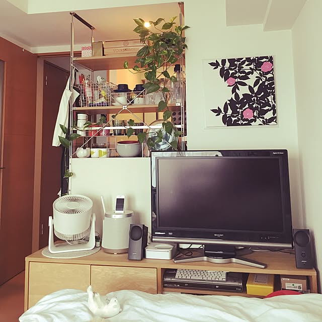 Lounge,ユニットシェルフ 無印,無印良品,賃貸　,観葉植物,一人暮らし,スタッキングキャビネット,ペットと暮らすインテリア,1R,ワンルーム Megの部屋