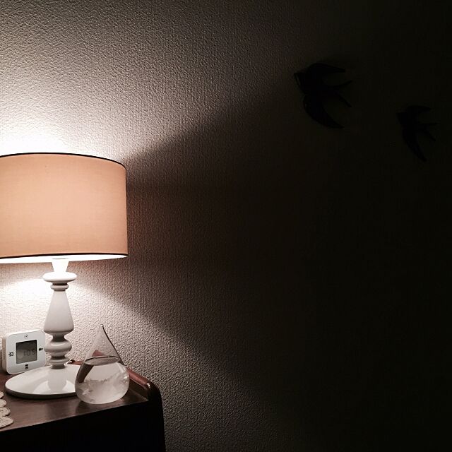 My Shelf,テンポドロップミニ,一人暮らし,リラックス,照明 aandの部屋