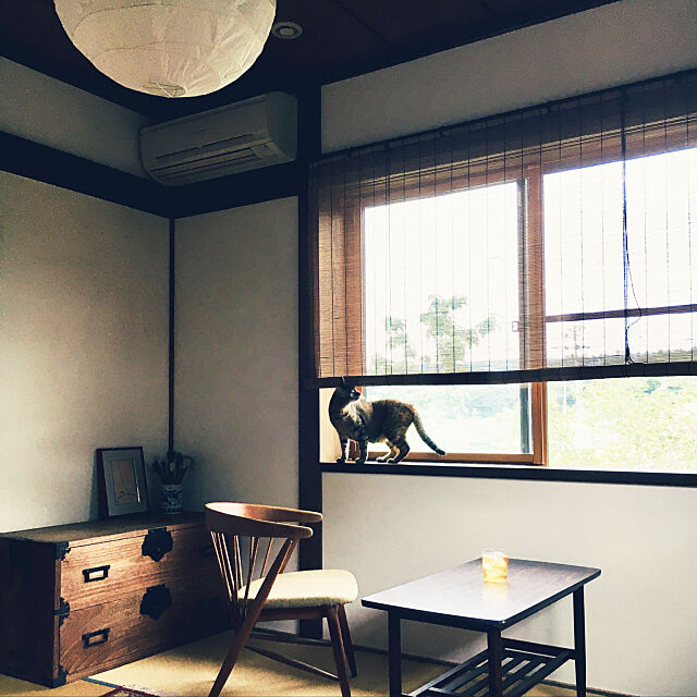 和室リフォーム,和室,ねこのいる風景,ねこと暮らす,DIY,アンティーク,レトロ,Overview Fumiyoshijmiの部屋