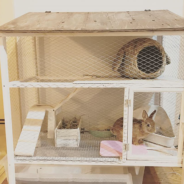 きっと喜んでもらえるはず♡うさぎ用の小屋とおさんぽスペースの実例