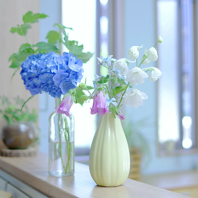 My Shelf,花のある暮らし,切り花,庭の花,紫陽花,キッチンカウンター,ダイソーのフラワーベース Shooowkoの部屋