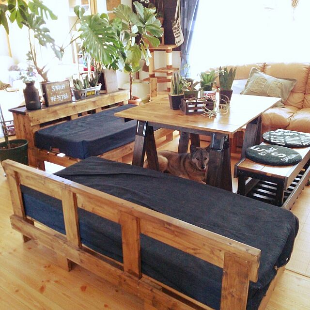 Lounge,ベストショット,手作り家具,DIYダイニングテーブル,DIYソファー,DIYベンチ,DIY,観葉植物,いぬ hisayuの部屋