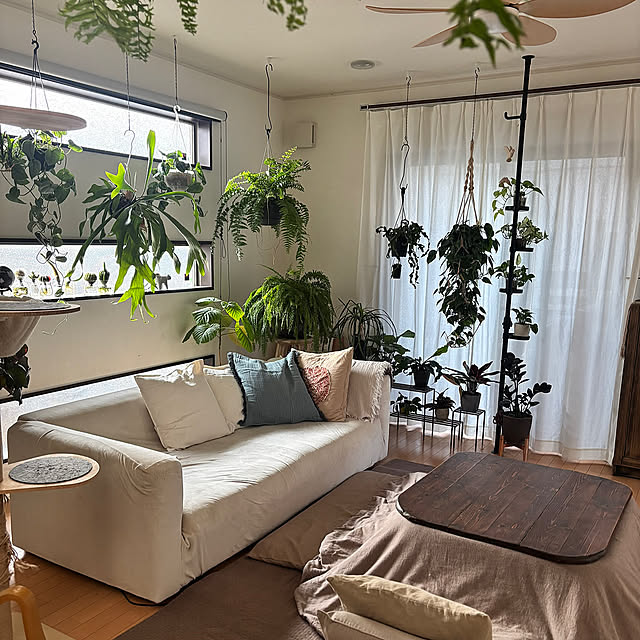Lounge,ブルー,いつもいいねをありがとうございます✨,春,観葉植物 greycatsの部屋