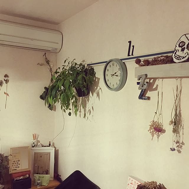 On Walls,ドライフラワー,観葉植物,一人暮らし,DIY,Francfranc,NO GREEN NO LIFE,ピクチャーレール harusameの部屋