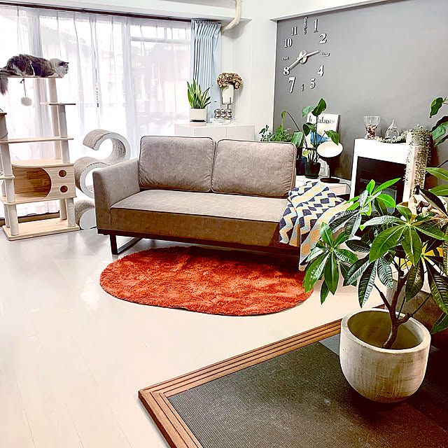 Overview,冬の模様替え,ラグ,いつもいいね！ありがとうございます♪,観葉植物のある暮らし,ねこのいる日常,中古マンションリフォーム Micccaの部屋