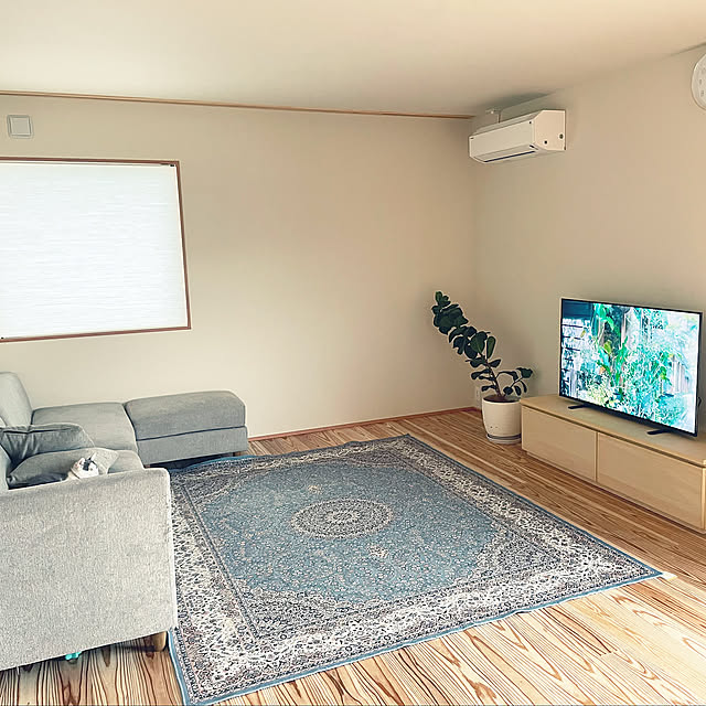 Lounge,猫,ベンジャミン,ゴムの木,観葉植物,杉の浮造り,床材は無垢材,床材,Ｌ字ソファー,持たない暮らし,シナベニヤ,造作テレビボード sajuの部屋