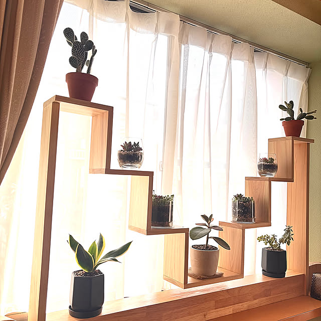 My Shelf,出窓インテリア,DIY,多肉植物,ダイソー,100均,ナチュラル,観葉植物 ANDYの部屋
