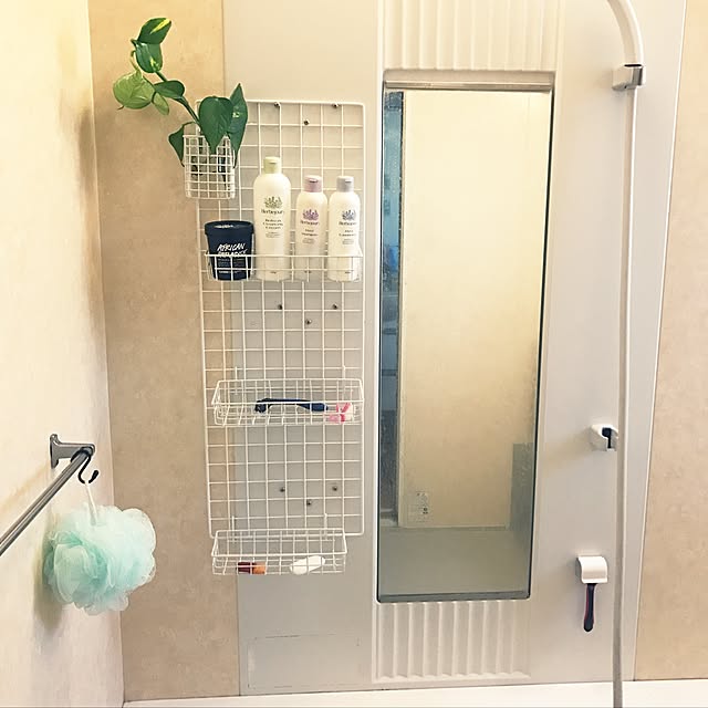 Bathroom,エルブジュール化粧品,ポトス水挿し,ワイヤーかご,ワイヤーネット,100円SHOP narukuniheroの部屋