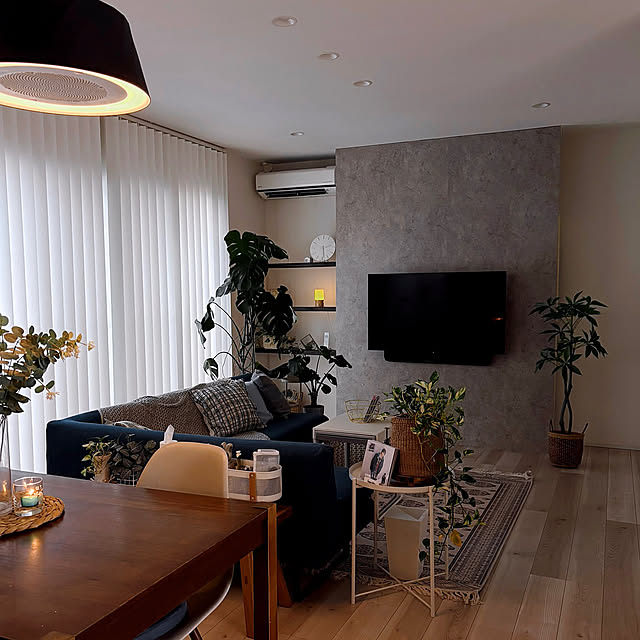 Lounge,ニチベイ,バーチカルブラインド,壁掛けテレビDIY,雨の日を楽しむ工夫,ディアウォール,フェイクグリーン,パキラ Miiの部屋