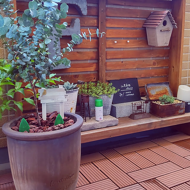 Entrance,観葉植物,多肉植物,コバエ対策,植物のある暮らし,BotaNice,いつもいいねやコメありがとうございます♡,子どもと暮らす,マンション暮らし,モニター中,マンションベランダ,アース製薬 mamiの部屋
