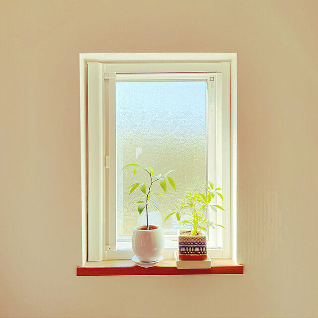 観葉植物,小窓,Kitchen star..の部屋