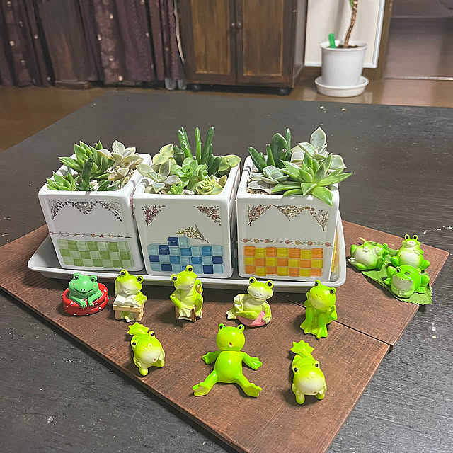 ガーデニング初心者,多肉植物初心者,ガーデン雑貨,ダイソーの植木鉢,出会いに感謝♡*゜,優しいコメントありがとう♡,タイル貼り,セリアの雑貨,皆さんとの繋がりに感謝♪,いいねと、フォローの押し逃げすみません！,多肉植物寄せ植え,３枚投稿,植木鉢リメイク,カエルの置物,RCの出会いに感謝♡,Bedroom ritsukoの部屋