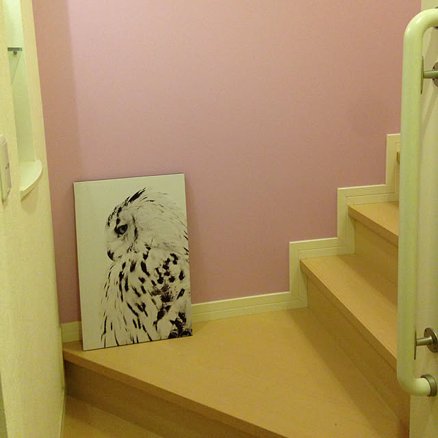 階段,アートボード,ニトリ,On Walls miiの部屋