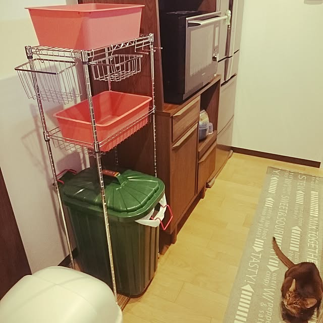 My Shelf,ダイソー,メタルラック,ワイヤーラック,猫のいる生活,ワイヤーラック 収納,ねこと暮らす。,スクエアボックス,ゴミ箱上ラック,ゴミ箱,ゴミ箱上の棚,ウニコ,ニトリ,ねこ部 gruenの部屋