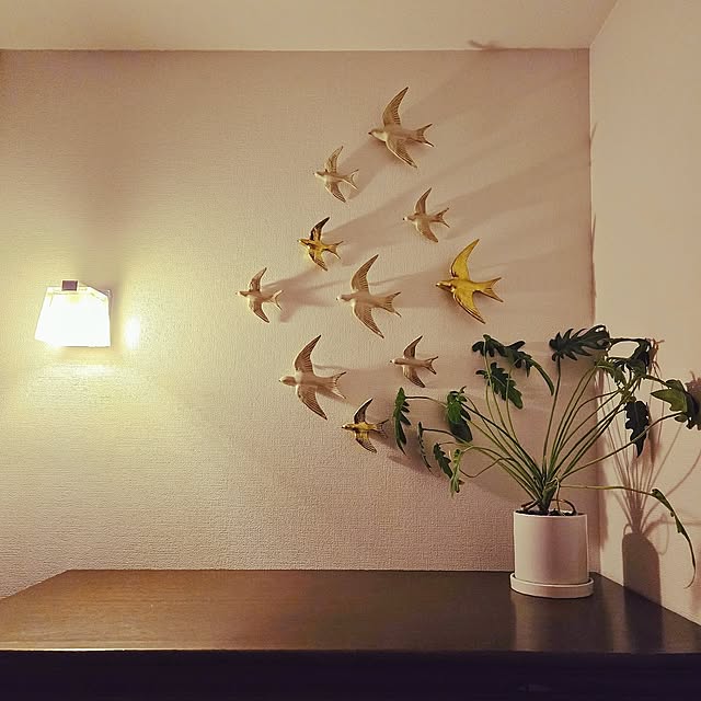 Bedroom,ブラウンインテリア,観葉植物,湿度管理,加湿器代わり,ミサワホーム,乾燥対策,鉢はDAISO,この植物も増えるよー,傾いてたのでわざと壁向きに,壁面ディスプレイ,壁面,壁面インテリア,壁面飾り,冬,寝室 mutyukingの部屋