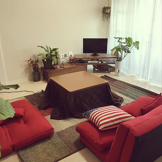 Lounge,一人暮らし,観葉植物,楽天で買ったもの chihoの部屋