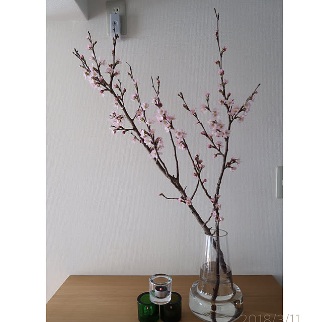 My Shelf,ittala,kivi,枝もの,桜,団地,無加工,無印良品,シンプル,持たない暮らし,ig始めました→minn.na.minn minnの部屋