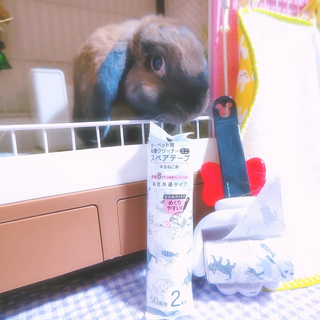 Bedroom,日用品,お気に入り,RCの出会いに感謝♡,生活感丸出し,癒し,RCに感謝❤︎です,皆さんに感謝です(*˙˘˙*)ஐ,自分らしい部屋作り,兎年,お気に入りに囲まれた暮らし,うさぎに癒されるᙏ̤̫❤︎,コロコロ,seria,うさぎが好きで好きでたまらない❤️,うさぎと暮らす,うさぎ好きさんと繋がりたい,うさぎのいる生活 mariaの部屋