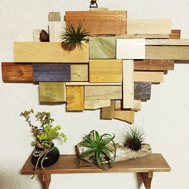 On Walls,端材,多肉植物,端材消費,流木,NO GREEN NO LIFE,RC北海道支部,NOGreenNOLife,エアープランツ,セリア,ナチュラルも男前も好き,DIY Tomo...NSR...の部屋