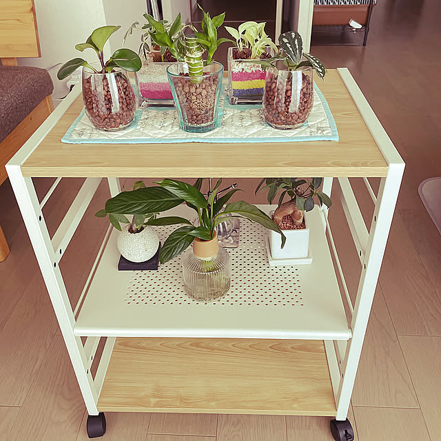 Lounge,ボタニカルインテリア rabradollの部屋