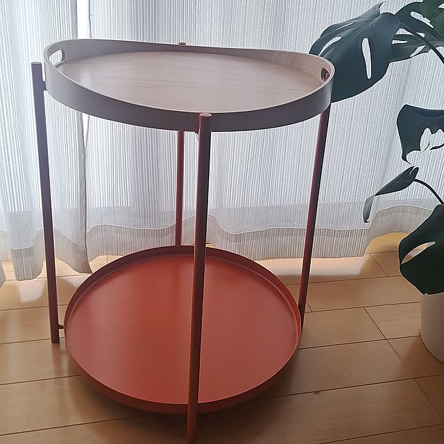 Lounge,観葉植物,IKEA,カラフル,プチプラ,観葉植物のある暮らし,カラフルも好き,グラドム toro_room0503の部屋