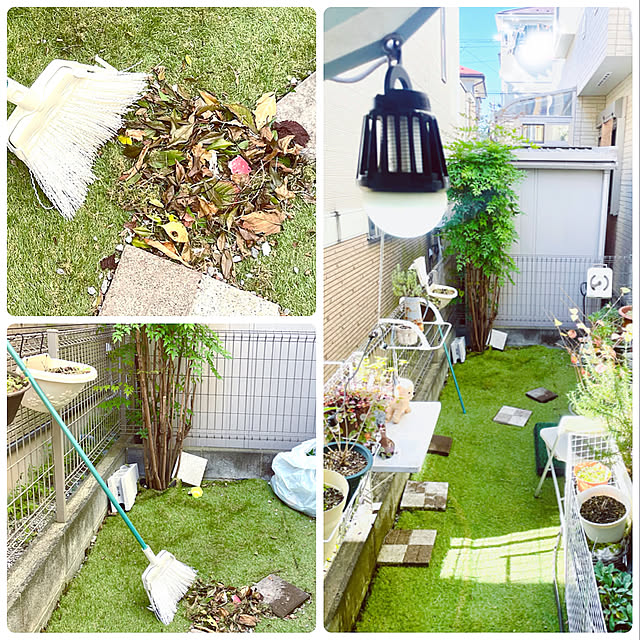 皆様素敵な週末を⑅︎◡̈︎*,くらしのeショップ,山善 人工芝,カインズホーム ほうき,庭掃除,快晴☀️,令和3年10月29日,掃除,柴犬と暮らす,白柴のいる暮らし,建売住宅だけど可愛く☆,NO GREEN NO LIFE,お花に癒されるᙏ̤̫͚ᙏ̤̫͚,ミニウサギのいる暮らし,うさぎと暮らす,見ていただき⋆⸜ᵀᴴᴬᴺᴷ ᵞᴼᵁ⸝⋆,冬支度,コメントお気遣いなく(⁎ᴗ͈ˬᴗ͈⁎),黒柴のいる暮らし,Entrance mo-nosukeの部屋
