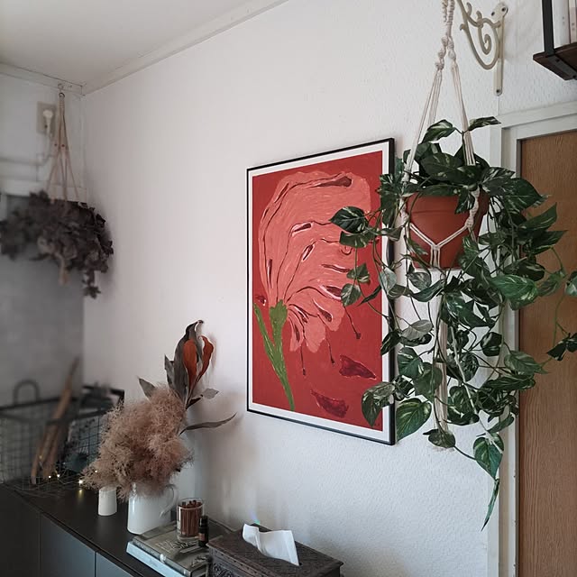 On Walls,THE POSTER CLUB,フェイクグリーン,セリア,ポトス,ドライフラワー,マクラメプラントハンガー,テラコッタ,ボタニカル,2024.1.25 miwaの部屋