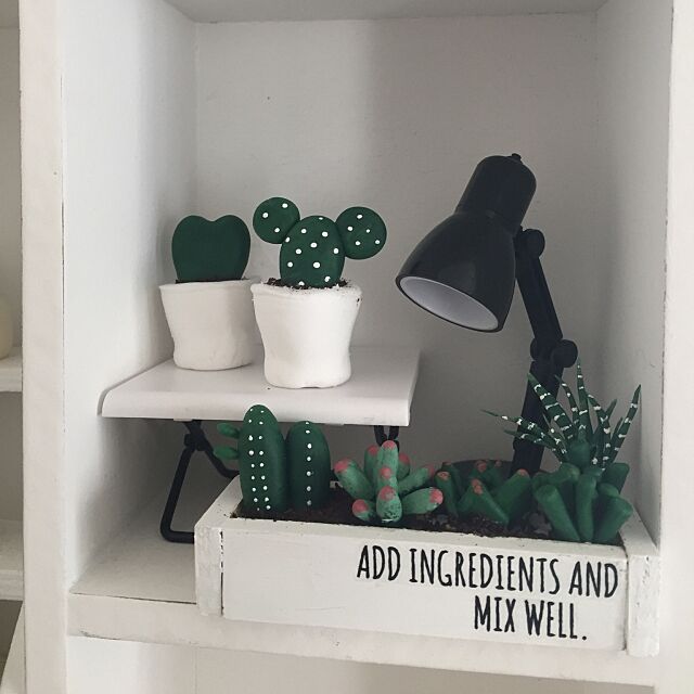My Shelf,ダイソー,ミニチュア,樹脂粘土,樹脂粘土の多肉植物 yochiの部屋