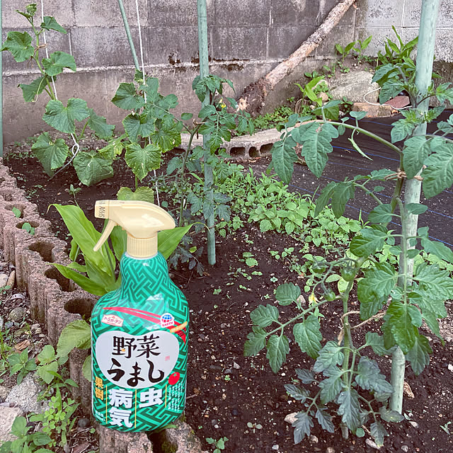 野菜うまし,アースガーデン,害虫対策,家庭菜園,ガーデニング,Entrance koromo.の部屋