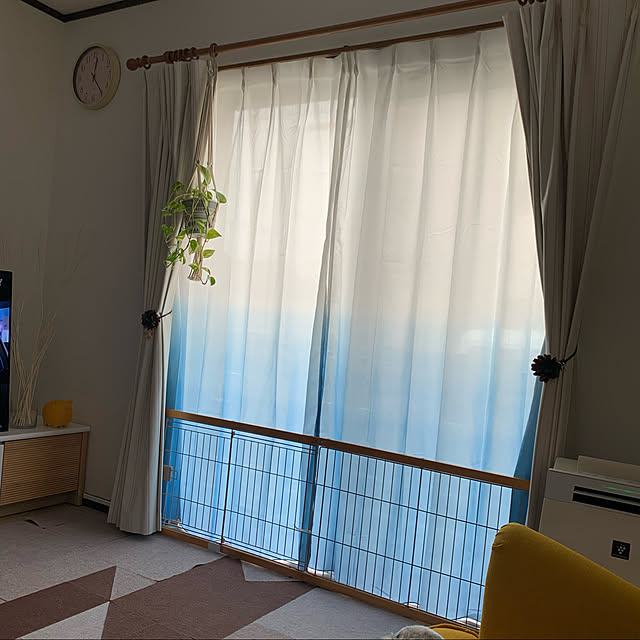 レースカーテン,カーテン,夏の模様替え,ニトリ,On Walls,多頭飼い,ねこと暮らす,いぬと暮らす Nobukoの部屋