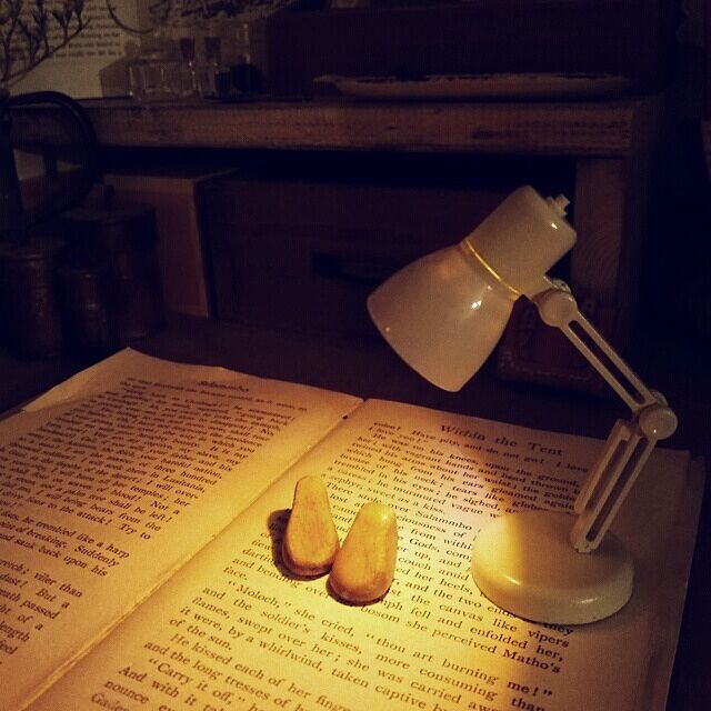 My Shelf,LEDミニスタンドライト,照明,洋書,手づくりミニシューモールド,キャンドゥ,電球はオレンジぺんで塗りました kokkomachaの部屋