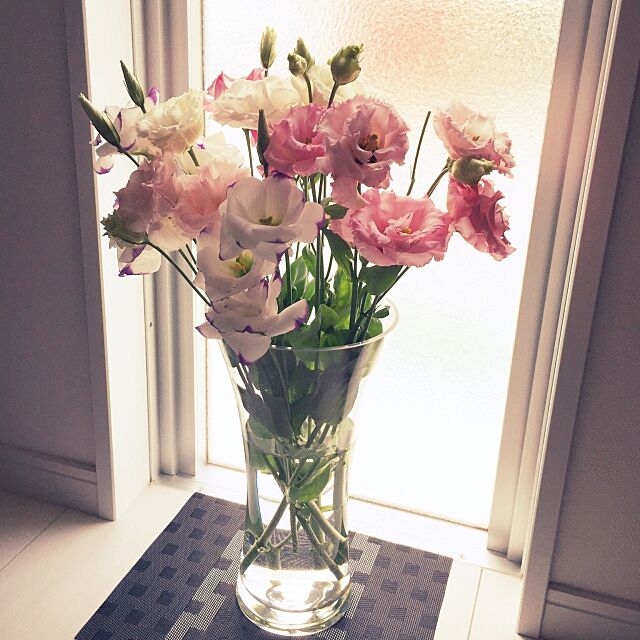 ダイソーランチョンマット,ニトリ花瓶,植物 rrsの部屋