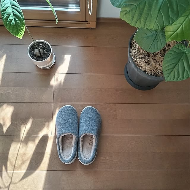 Lounge,ルームシューズ,いいねと、フォローの押し逃げすみません！,いいね！いつもありがとうございます♡,マンション暮らし,築古マンション,リノベーション,低予算リノベ,ニトリ,冬支度 sakiの部屋