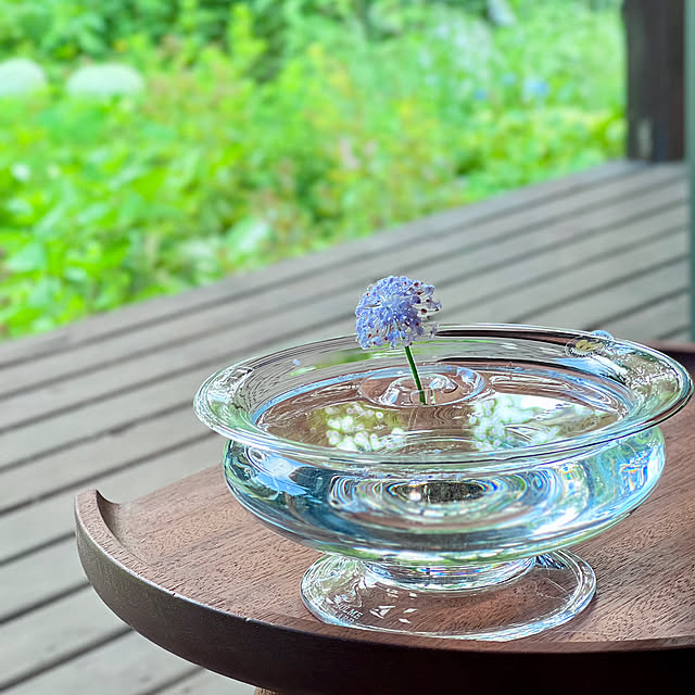 Lounge,ブルーレースフラワー,ホルムガードオールドイングリッシュ,ホルムガード,フローティングベース,水に浮かぶ一輪挿し,一輪挿し,グリーン,癒し,夏,庭の花,hygge,季節を楽しむ,心地よい暮らし,オールドイングリッシュ Kikko.の部屋