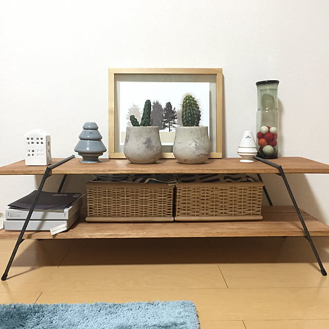 My Shelf,サボテン,ケーラー,アウトドア用品,アイアンレッグの棚,10000人の暮らし,ワンルーム,一人暮らし,イベント参加,ディスプレイ,無印良品,creemaにて購入 kumazouの部屋