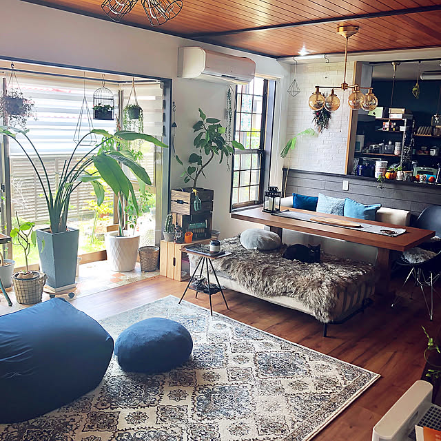 Lounge,くろねこのくろ,ニトリのビーズクッション,ニトリのクッションカバー,いつもありがとうございます♡,築30年超,NO GREEN NO LIFE,昭和の家,グリーンのある暮らし,猫と暮らす,中古戸建て,レトロな感じが好き,RCの皆さんに癒されてます♡,リフォーム,観葉植物,猫,アクタス Yukinekoの部屋