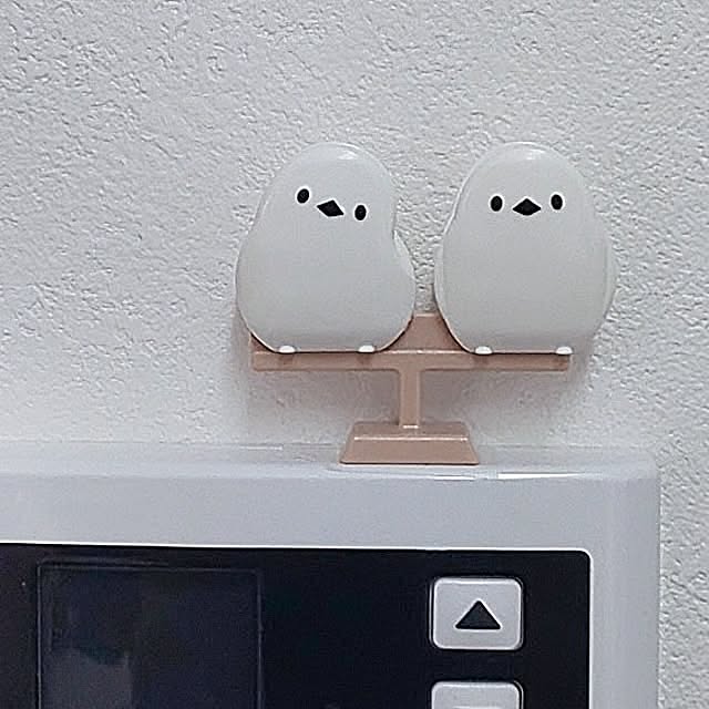 Kitchen,白が好き,とりさん♡,文鳥のいる暮らし,中古マンションリノベーション,こどもと暮らす,三人家族,シンプル,リフォーム,ダイソー Yoshi55goの部屋