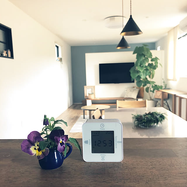 Kitchen,ダイソー,買ってよかったもの,4人のママ,子どものいる暮らし,フタガミペンダントライト,花のある暮らし,みどりのある暮らし,好きなものに囲まれた暮らし,子どもと楽しむ,Kitchen mint_homeの部屋