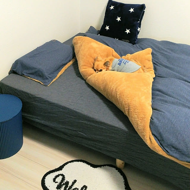 Bedroom,RCの出会いに感謝♡,こどもと暮らす。,いぬばかりですみません。,いぬのいる暮らし,赤ちゃんのいる暮らし,ニトリ,掛布団カバー,枕カバー,オムニウッティ,星柄大好き,2018.11.22 kojikojiの部屋