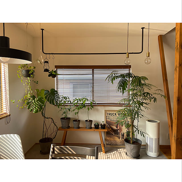 エバーフラッシュ,インスタやってます！,リノベーション住宅,戸建リノベーション,インスタ→kytt_home,無印良品,リノベーション,インナーバルコニー,観葉植物のある暮らし,ウッドブラインド,モンステラ,シェフレラ,アボカドの種,無印ベンチ,cado空気清浄機,TRUCKポスター,On Walls,アイアンバー,KINTO プラントポット,BALMUDA The Lantern,2階リビング,ペンダントライト shirokumaの部屋