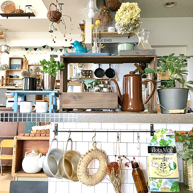 月兎印,マッコリカップ,BotaNice,植物のある暮らし,多肉植物,ガーデニング,観葉植物,ダイソー,グリーンのある暮らし,雑貨,ディスプレイコーナー,セリア,暮らし,モニター,100均,癒し,ナチュラルキッチン,あじさいドライ,アナベルドライ,ドライフラワーのある暮らし,On Walls sumiponの部屋