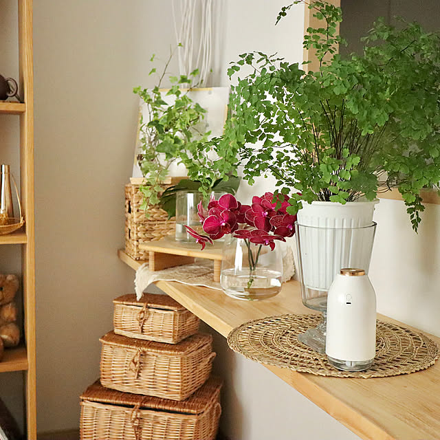 Kitchen,アジアンタム,観葉植物,フラワーアレンジメント,花のある暮らし,新築マンション,シンプルインテリア,グリーンのある暮らし,ガラスベース,ディスプレイコーナー,丁寧な暮らし,外国インテリアに憧れて,外国インテリア,マンション暮らし,観葉植物のある暮らし,IKEA,ガラス,賃貸マンション,ナチュラルカラー,ベージュインテリア,無印良品 Summerの部屋