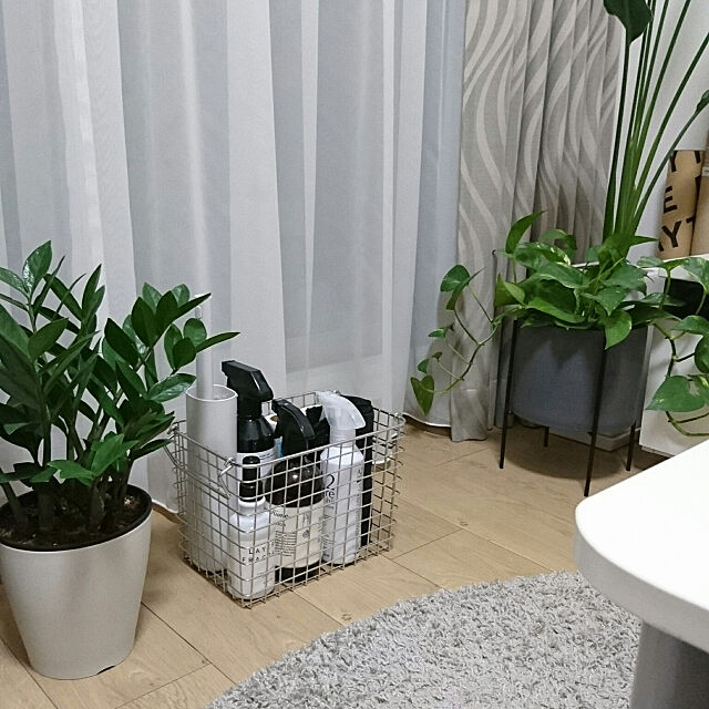 Lounge,ひとり暮らし 1K,観葉植物のある部屋 bary.minamiの部屋