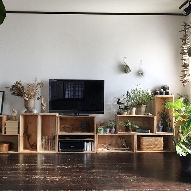 Lounge,植物のある暮らし,りんご箱,TV,無垢の床,漆喰壁 romimushiの部屋