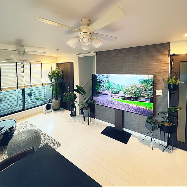 買ってよかったもの,観葉植物,IKEA,シンプル,シンプルモダン,バルミューダ,ニチベイ,すっきり暮らす,WALLテレビスタンド,アクタス,心地よい暮らし,Lounge miniの部屋