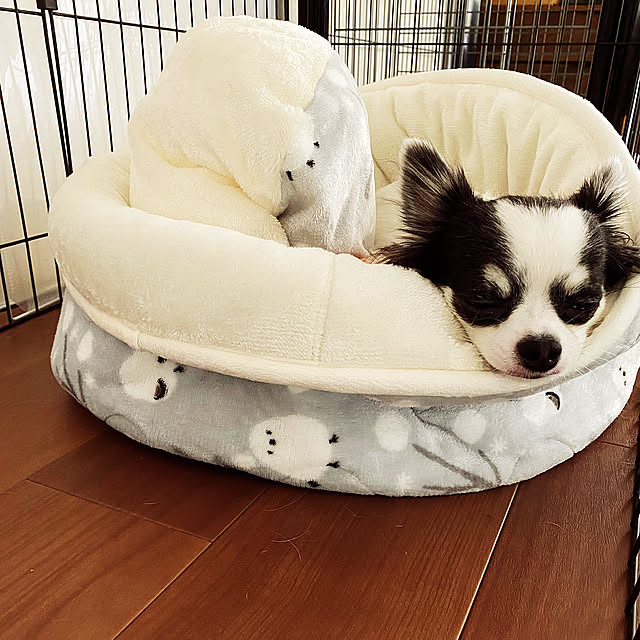 Lounge,犬ベッド,デコホーム mokumokuの部屋