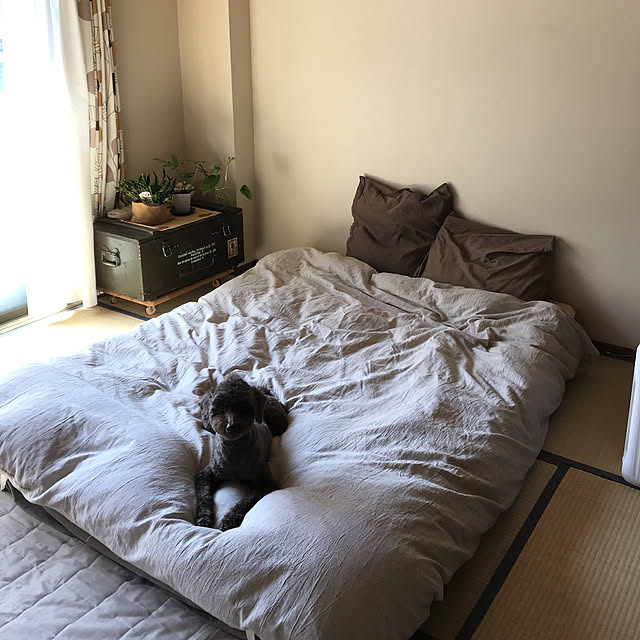 Bedroom,ニトリ,無印良品,一人暮らし,和室にハマる tamaの部屋